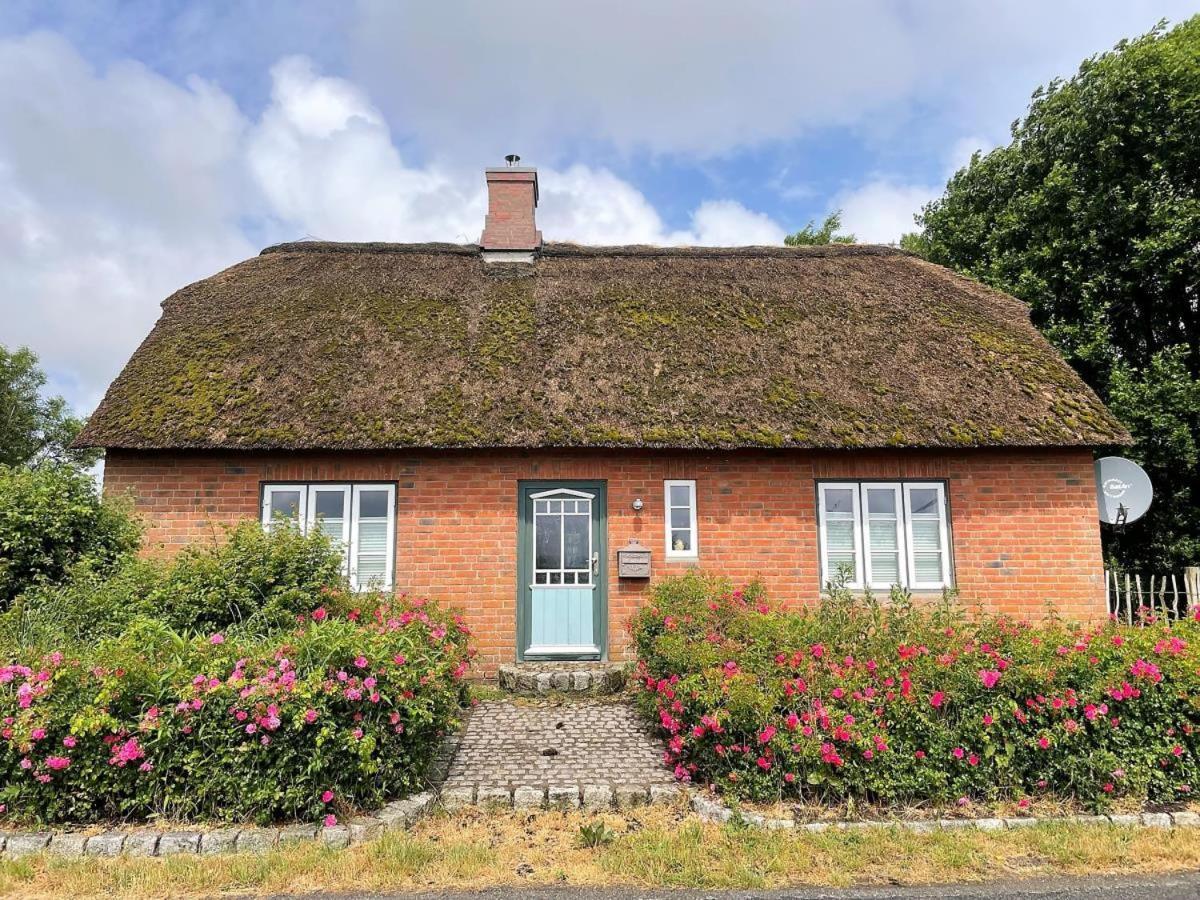 Das Puppenhaus, Reetdach, Sauna, Kamin, Eingezaeunt, Badewanne, Haustiere Willkommen Emmelsbull-Horsbull Exterior photo